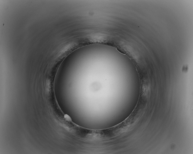 X0000096710211200802121232