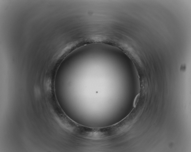 X0000096710212200802121232