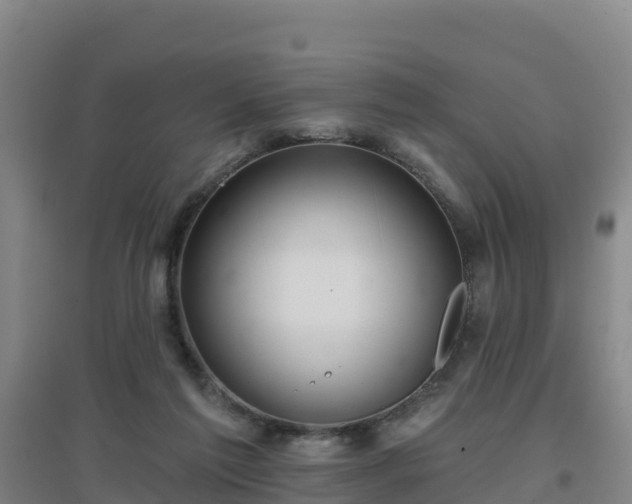 X0000096710213200802121232