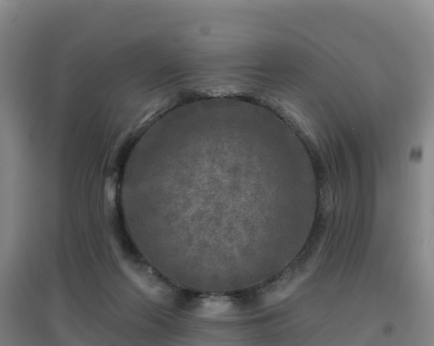 X0000096710214200802121232