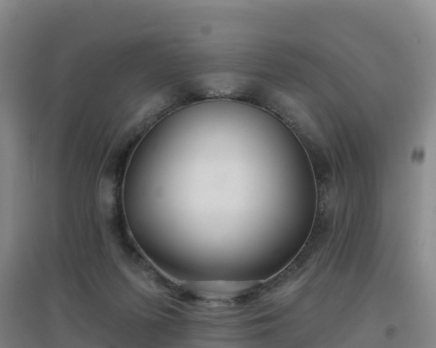 X0000096710215200802121232