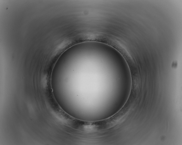 X0000096710216200802121232