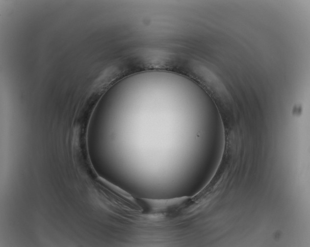 X0000096710217200802121232