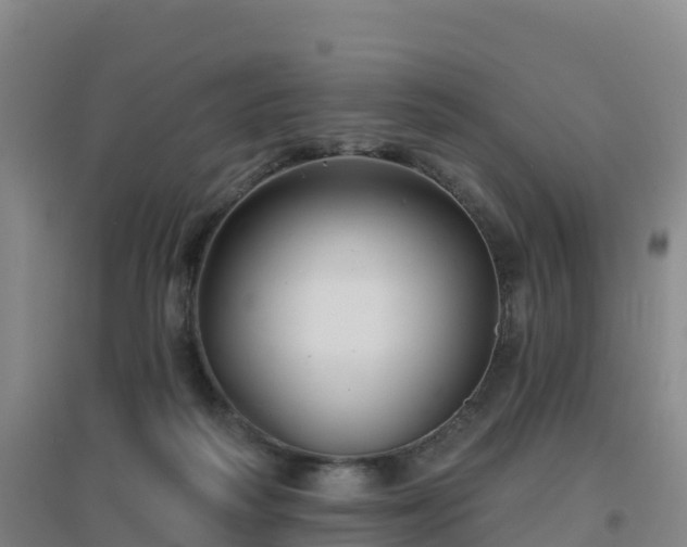 X0000096710218200802121232