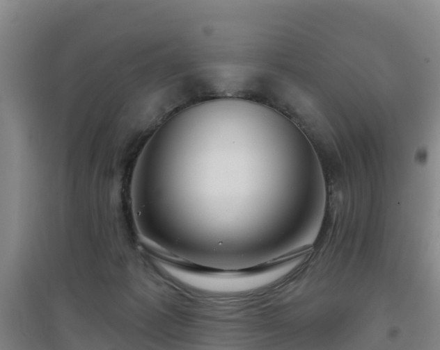 X0000096710221200802121232