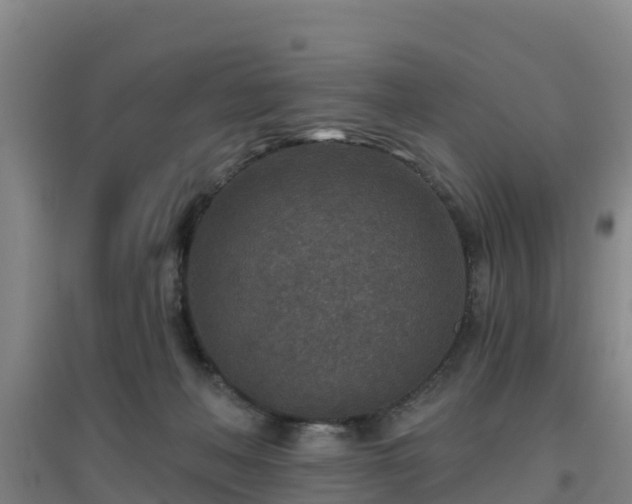 X0000096710222200802121232