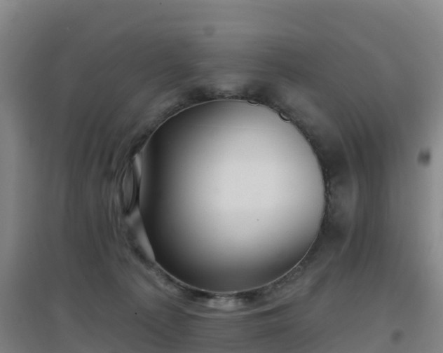 X0000096710225200802121232