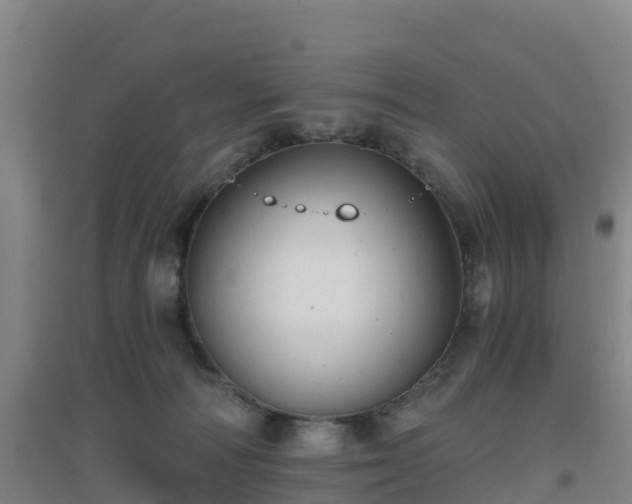 X0000096710226200802121232