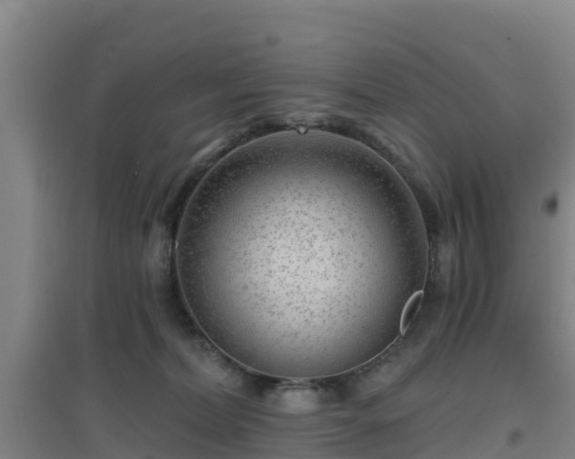 X0000096710228200802121232