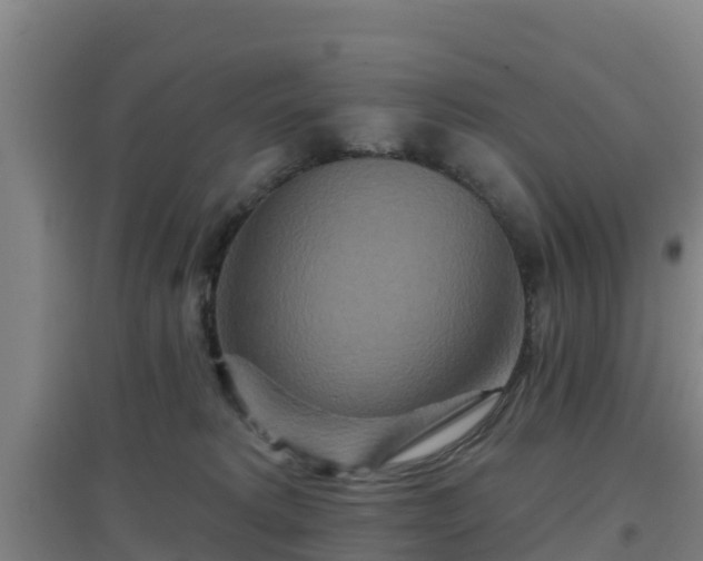 X0000096710229200802121232