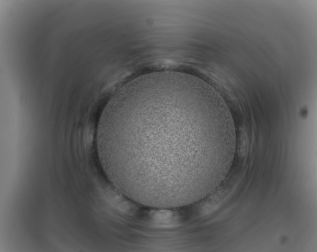 X0000096710230200802121232