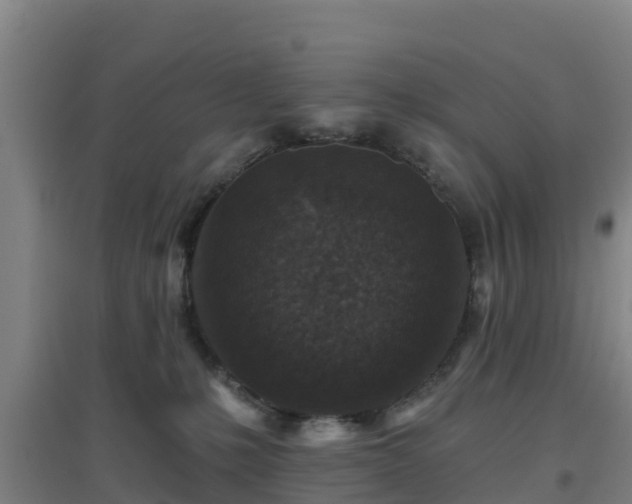 X0000096710231200802121232