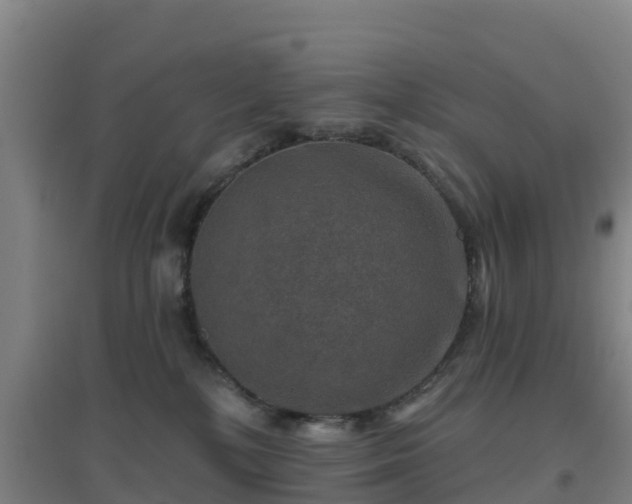 X0000096710232200802121232