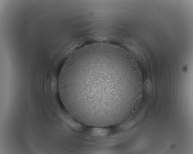 X0000096710234200802121232