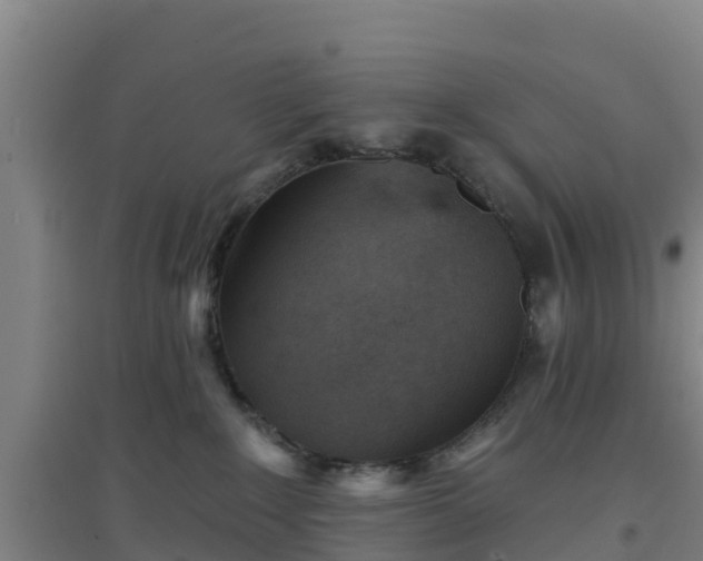 X0000096710235200802121232