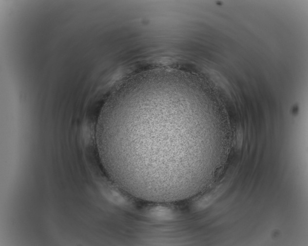 X0000096710236200802121232