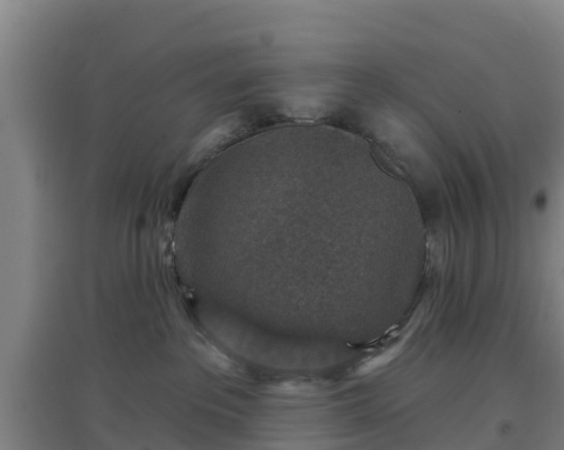 X0000096710237200802121232