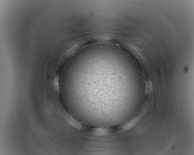 X0000096710238200802121232