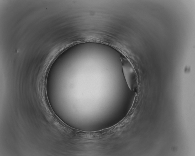 X0000096710241200802121231