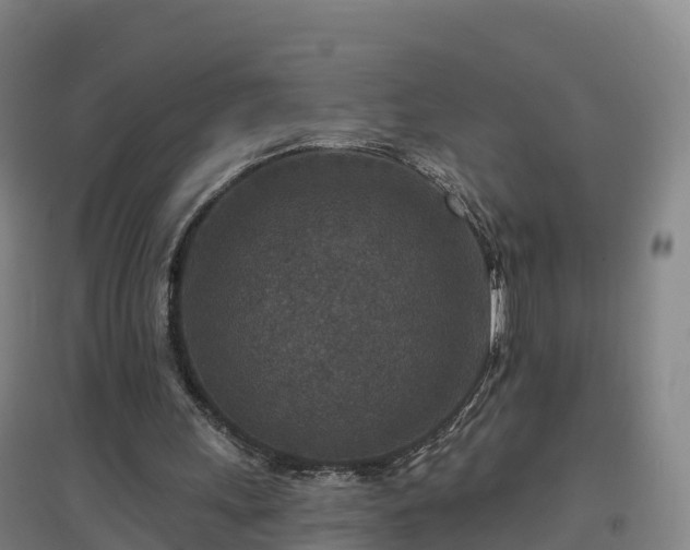 X0000096710243200802121231