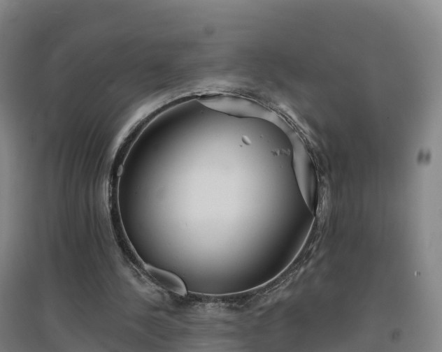 X0000096710244200802121231