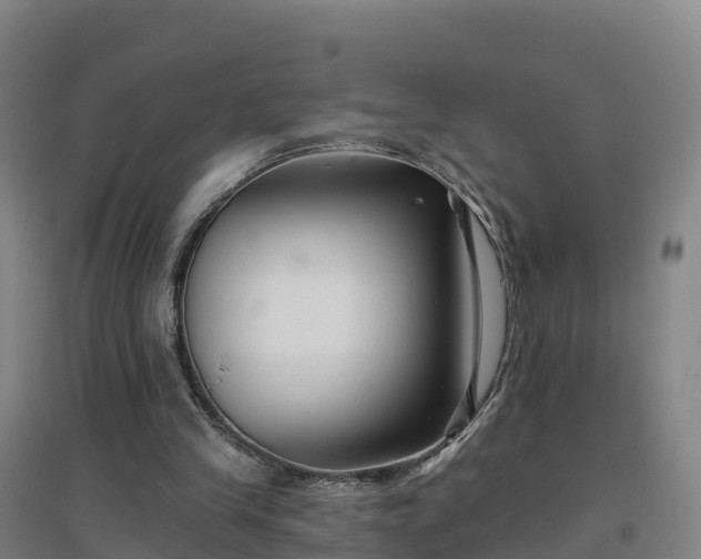 X0000096710245200802121231