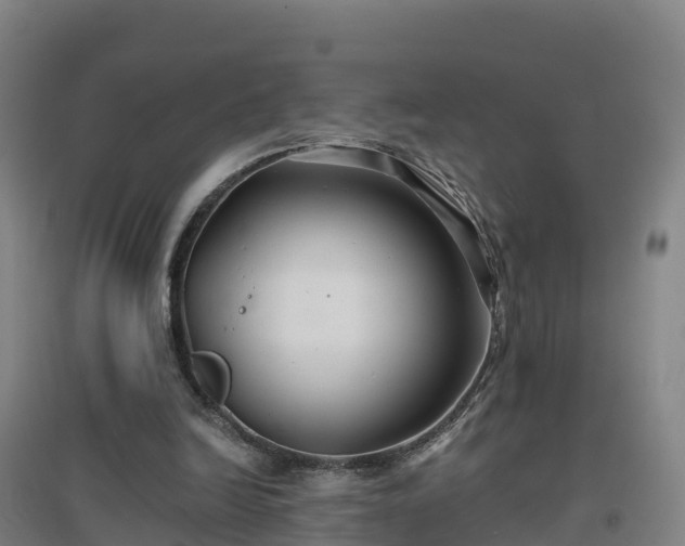 X0000096710246200802121231