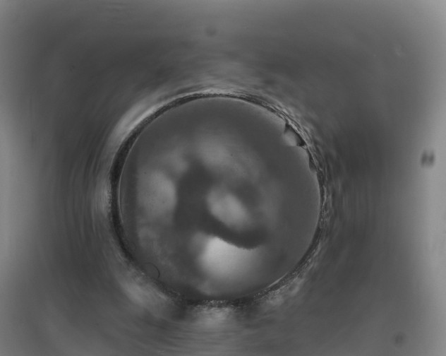 X0000096710247200802121231