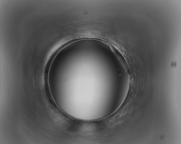 X0000096710248200802121231