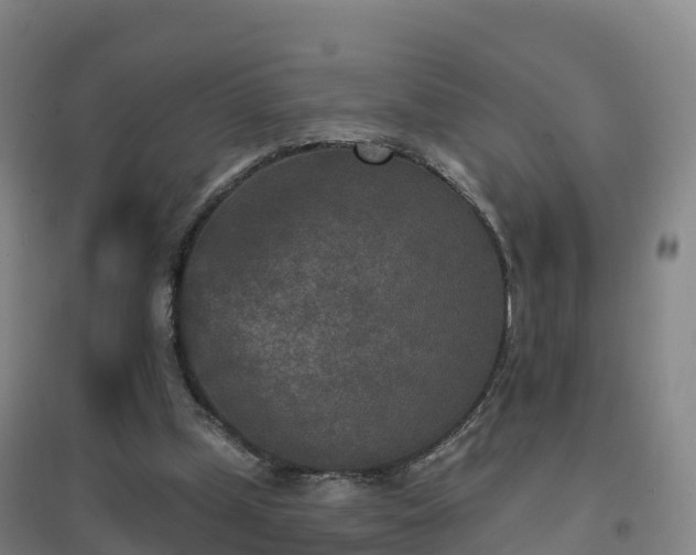 X0000096710249200802121231