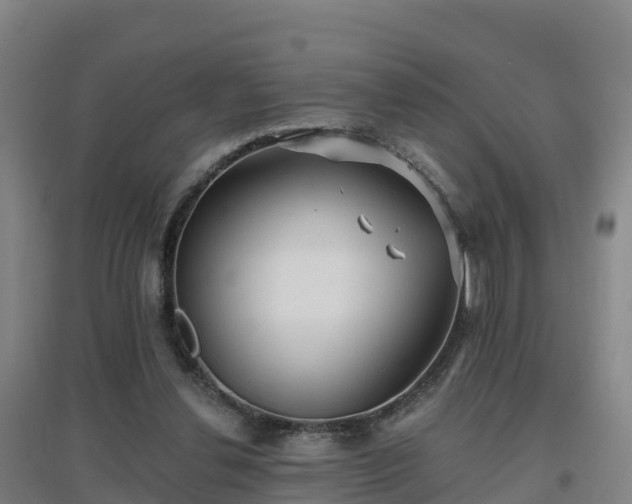 X0000096710252200802121231