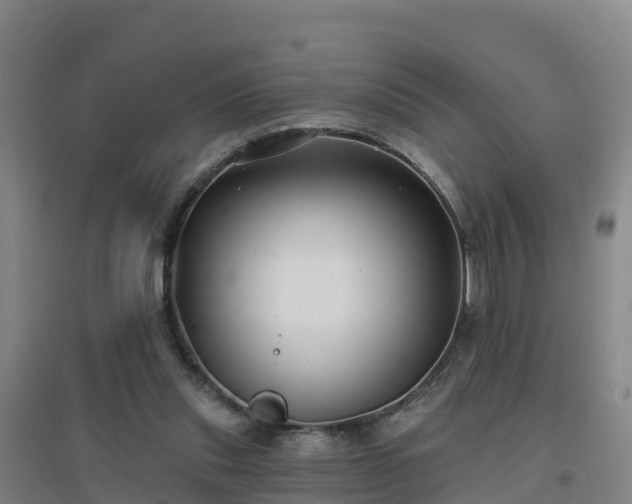 X0000096710253200802121232