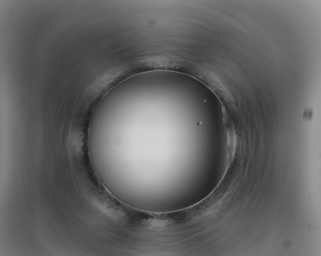 X0000096710255200802121232