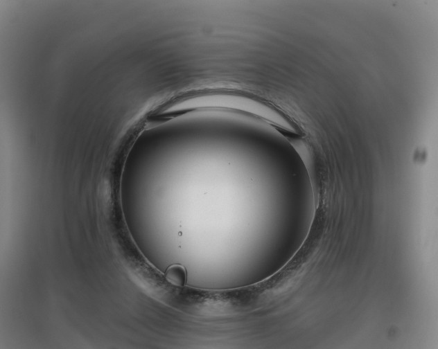 X0000096710256200802121232