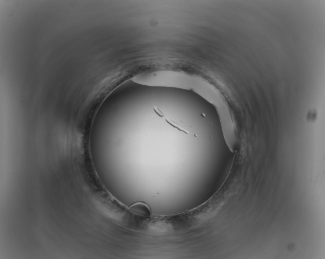 X0000096710258200802121232