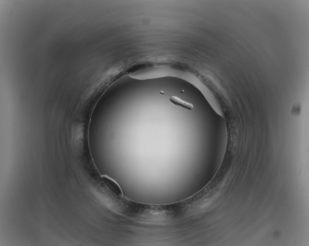 X0000096710260200802121232