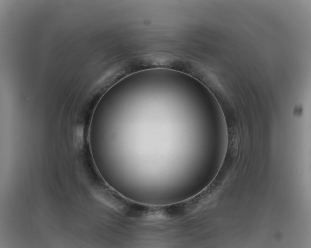 X0000096710262200802121232