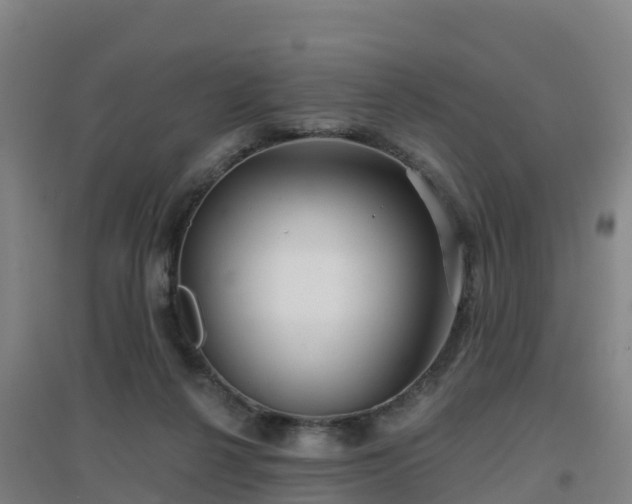 X0000096710264200802121232