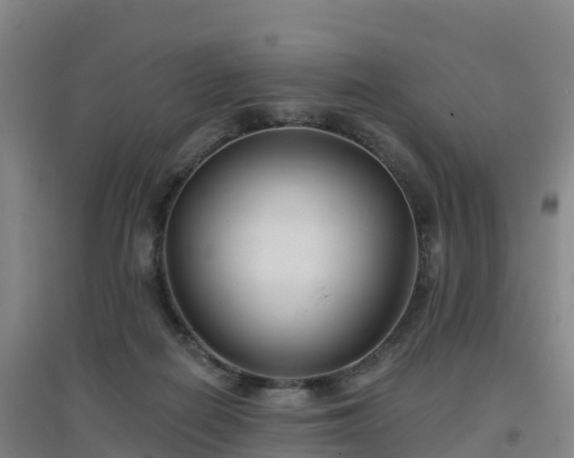 X0000096710266200802121232