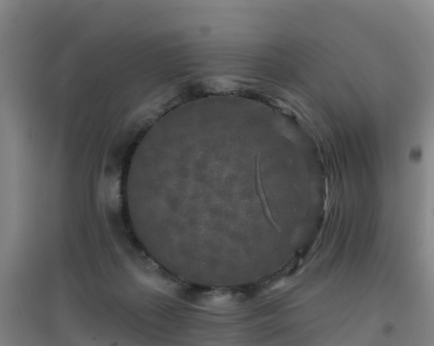 X0000096710267200802121232