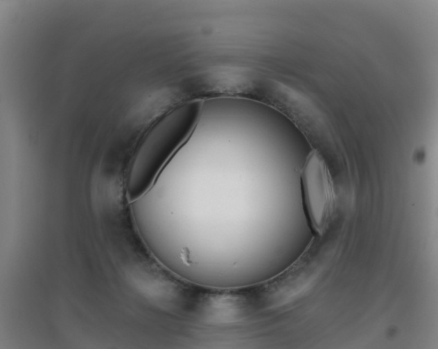 X0000096710268200802121232