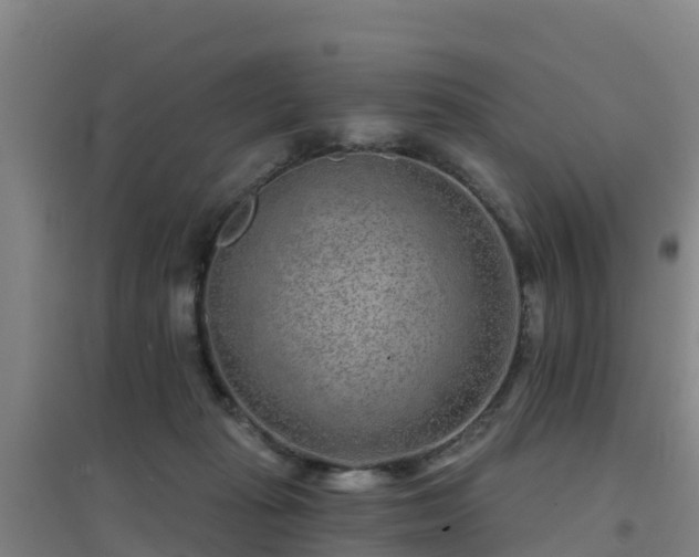 X0000096710269200802121232