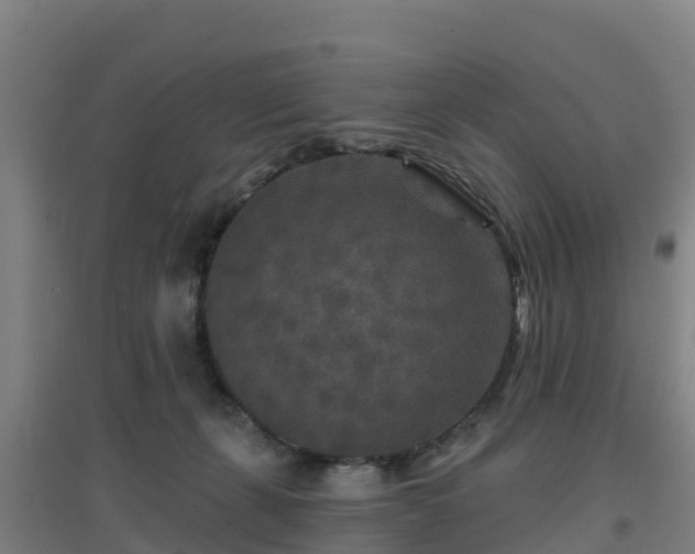 X0000096710271200802121232