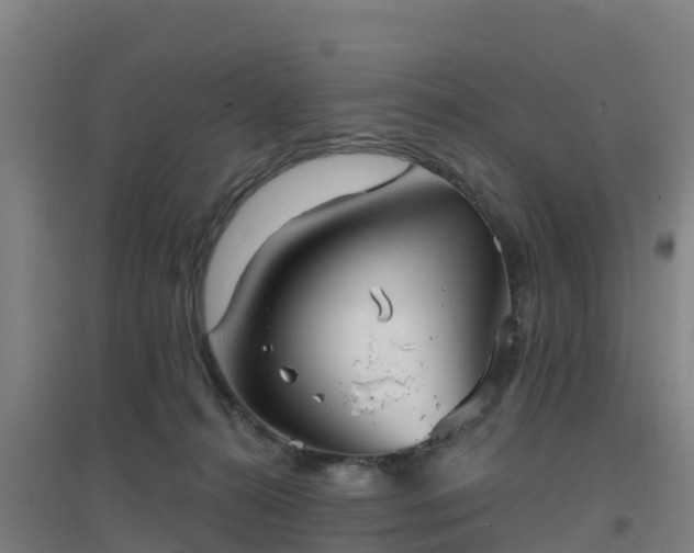 X0000096710272200802121232