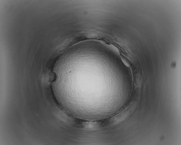 X0000096710273200802121232