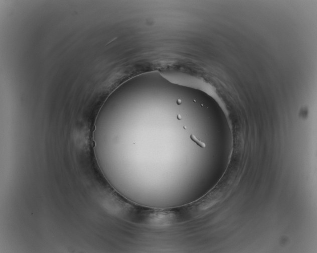 X0000096710274200802121232