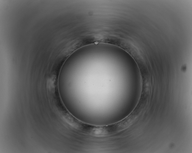 X0000096710275200802121232