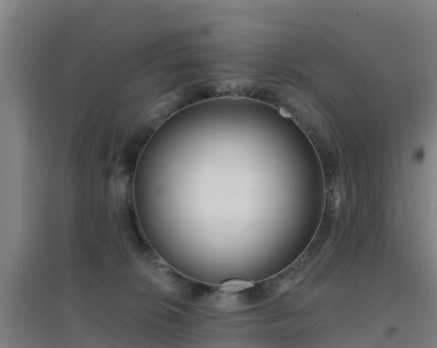 X0000096710276200802121232