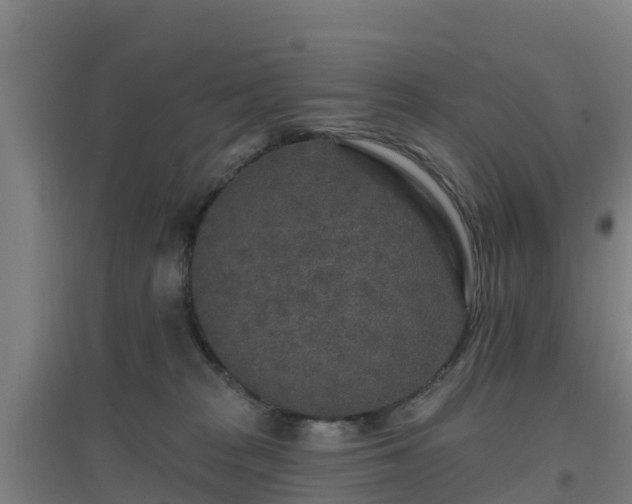 X0000096710277200802121232