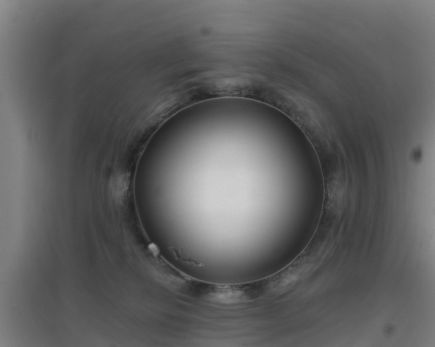 X0000096710278200802121232